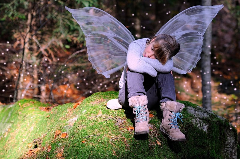 Fairy